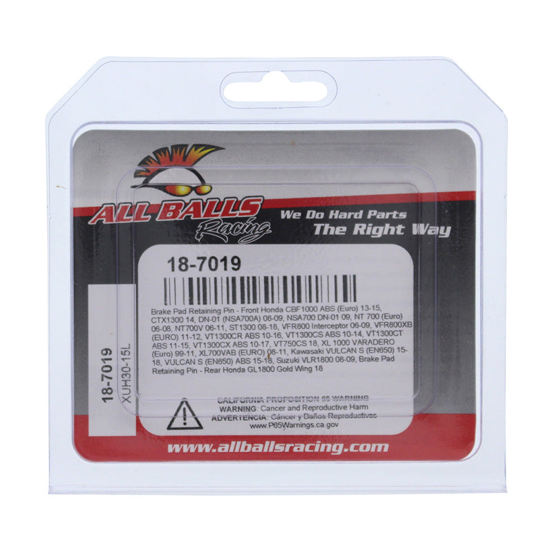ALL BALLS BRAKE PAD RETAINING PIN FR HONDA VFR800 06-09 18-7019