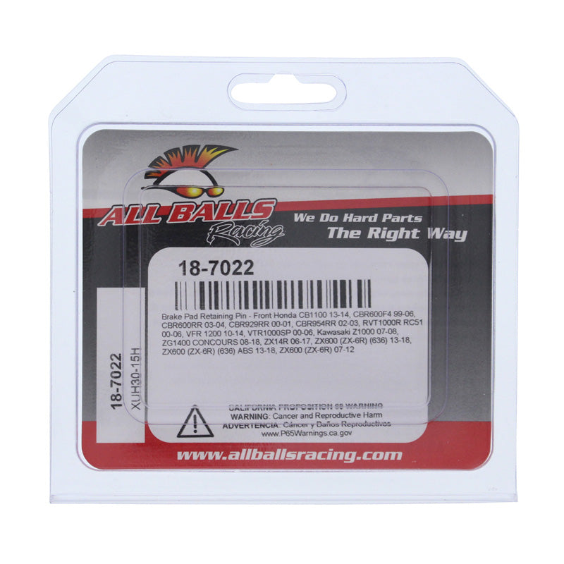 ALL BALLS BRAKE PAD RETAINING PIN FR CBR600/929/954 01-04 18-7022
