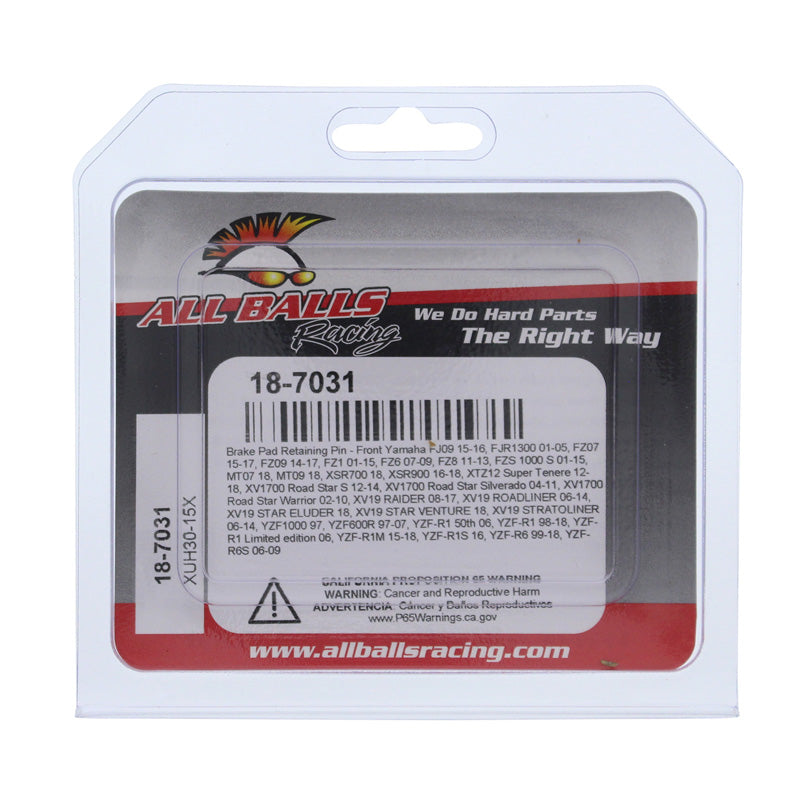 ALL BALLS BRAKE PAD RETAINING PIN FR YAM FJ09/FJR1300/FZ07 18-7031
