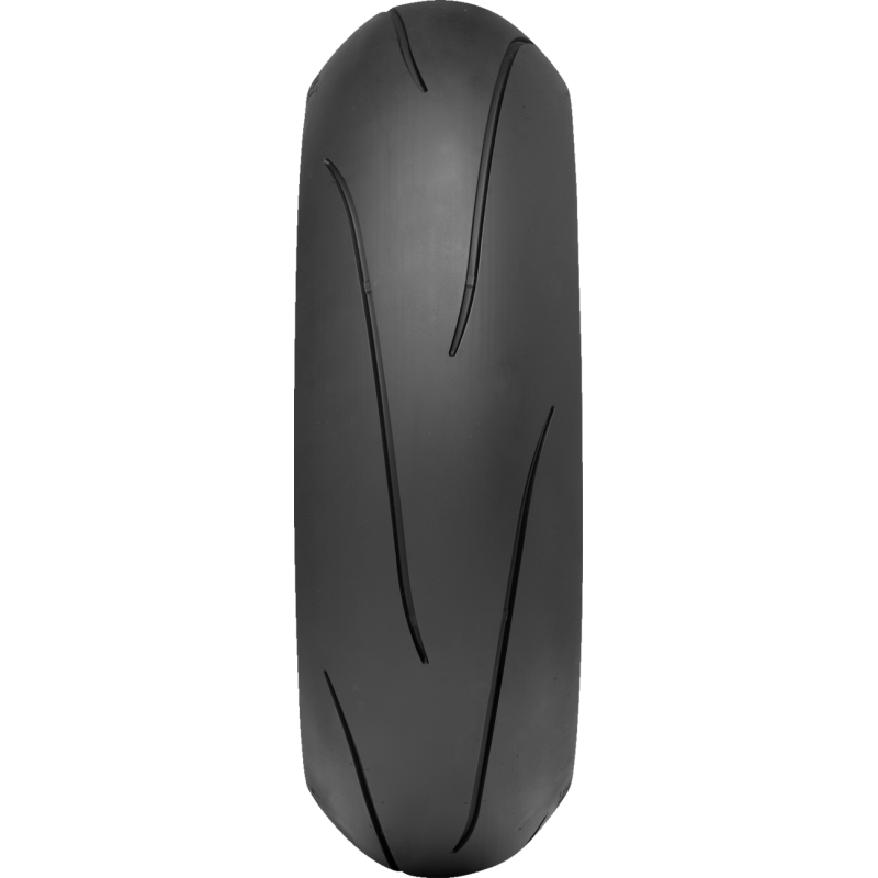 DUNLOP 200/60ZR17 (80W) SPORTMAX Q5 TRACK DAY REAR 45247190