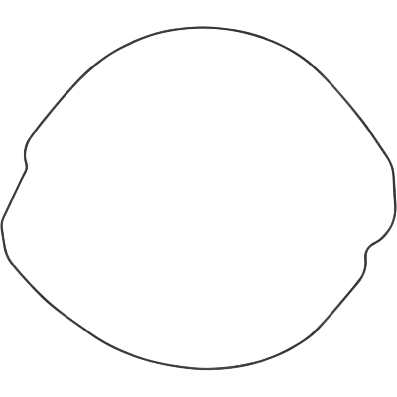 WINDEROSA OUTER CLUTCH GASKET KIT 817702