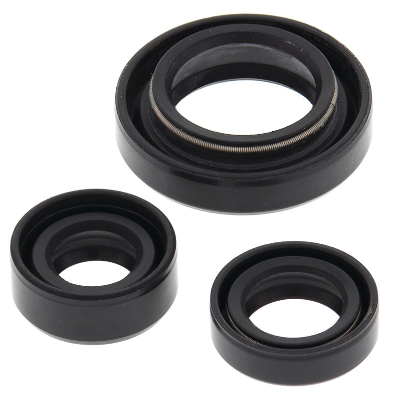 VERTEX OIL SEAL KIT 822254