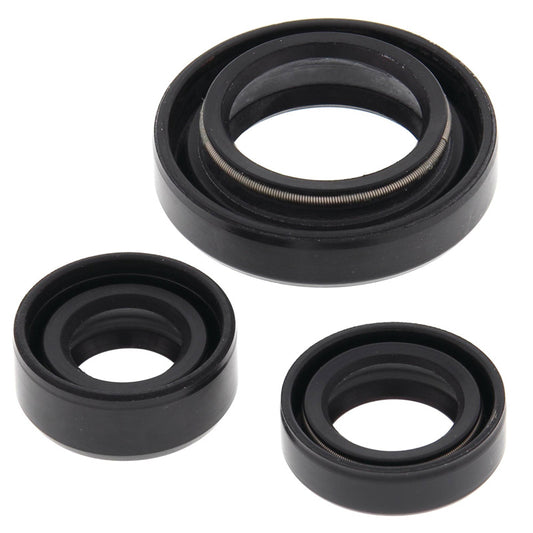 VERTEX OIL SEAL KIT 822254
