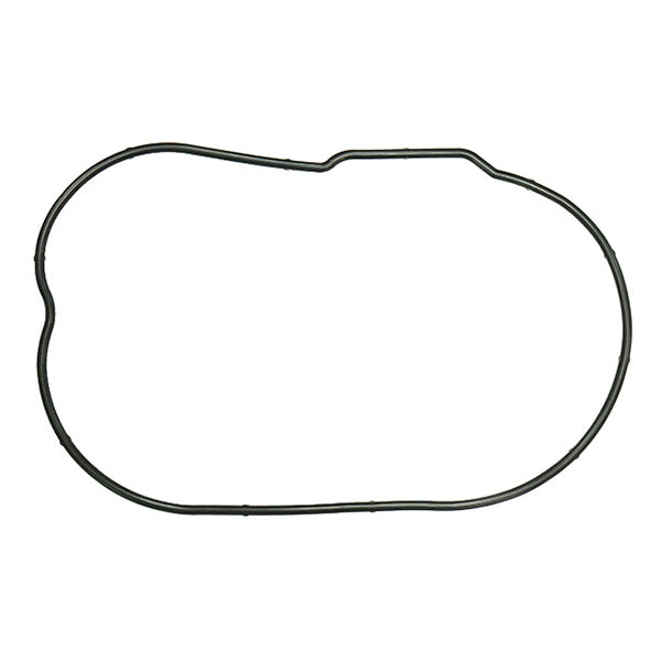 SPX CHAIN CASE O-RING POLARIS SM-03352