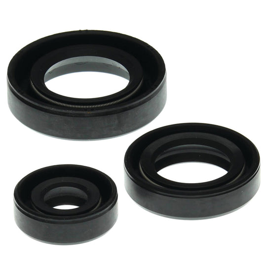 VERTEX OIL SEAL KIT 822199