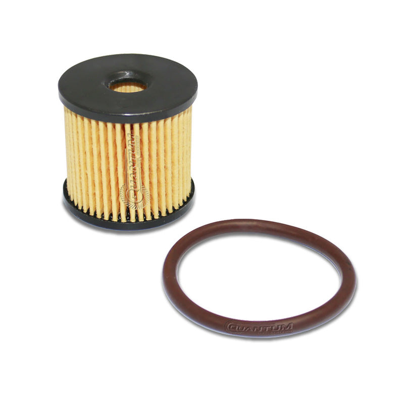 QUANTUM INSTALL KIT HARLEY-DAVIDSON FLHR ROAD KING 08-22 HFP-K42