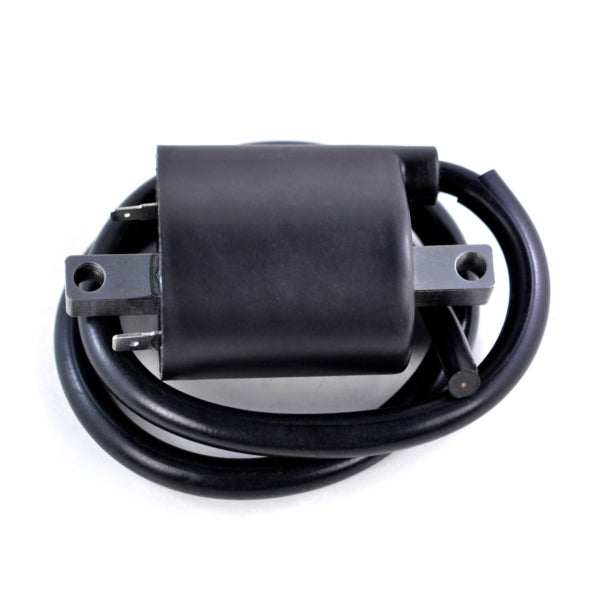 KIMPEX HD IGNITION COIL EXT KIMPEXHD RM06168
