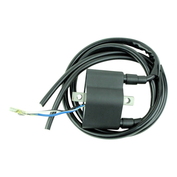 KIMPEX HD IGNITION COIL EXT A/C KIMPEXHD RM06048