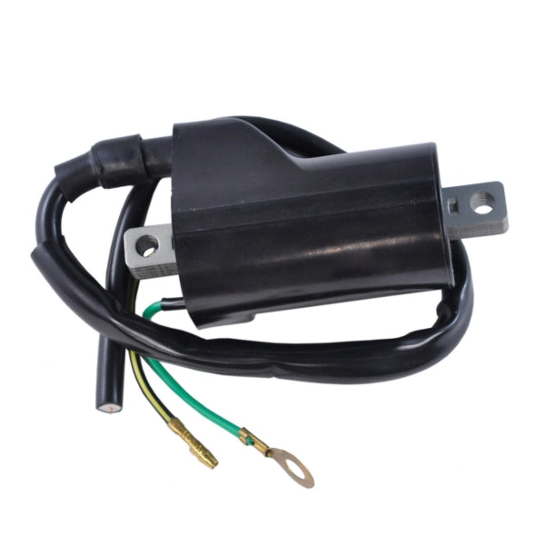 KIMPEX HD IGNITION COIL EXT KIMPEXHD SF-060-000836