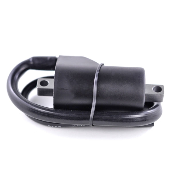 KIMPEX HD IGNITION COIL EXT W/CAP POL KIMPEXHD SF-060-001970
