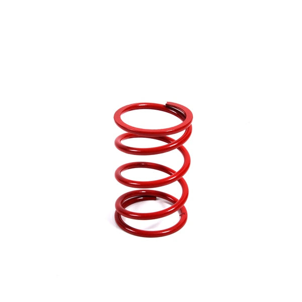 EPI CLUTCH SPRING EPI DRS12