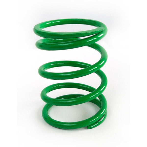 EPI CLUTCH SPRING EPI DRS19