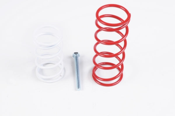 EPI CLUTCH KIT POL EPI WE397430