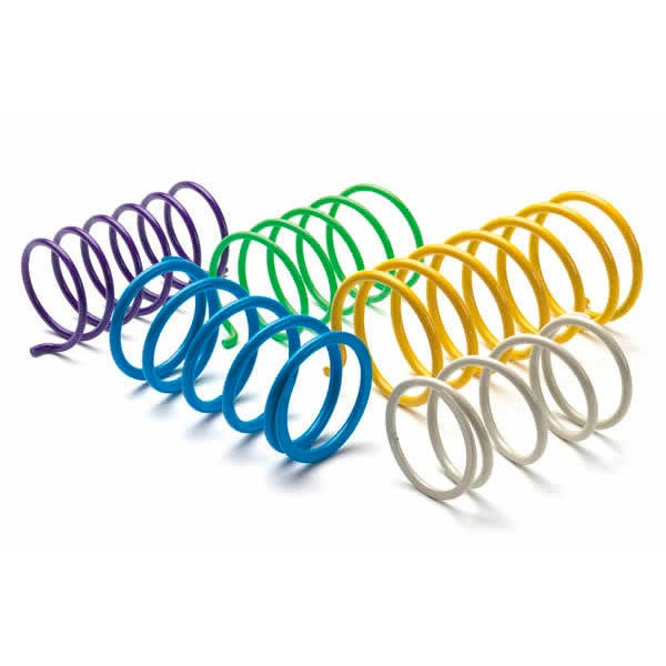 EPI CLUTCH SPRING EPI CSS1