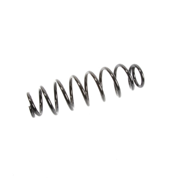 EPI SUSPENSION SPRING EPI WE325117