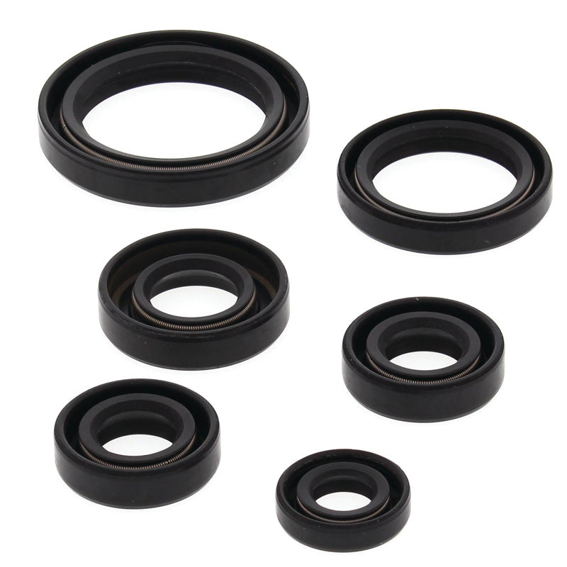 VERTEX OIL SEAL KIT 822241
