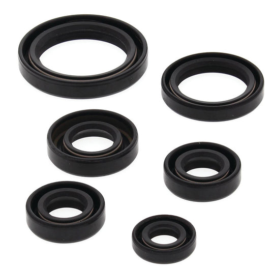 VERTEX OIL SEAL KIT 822241