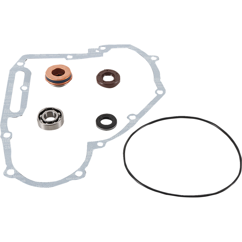 VERTEX REPAIR KIT WATER PUMP POL 821891