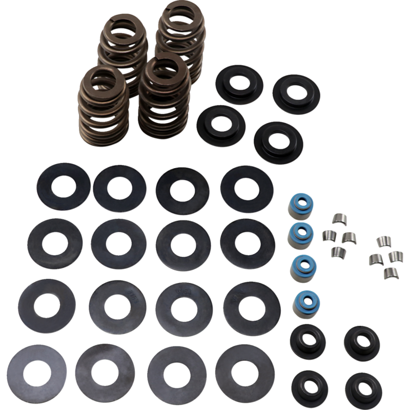FEULING OIL PUMP CORP. 05-17 B/T ECONO BEE HIVE V/SPRING KIT 1121