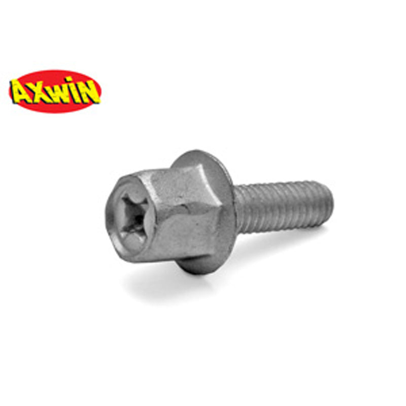 TNT EXHAUST SCREW 6MM BW'S/ZUMA 170510
