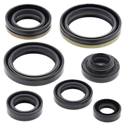 VERTEX OIL SEAL KIT 822267