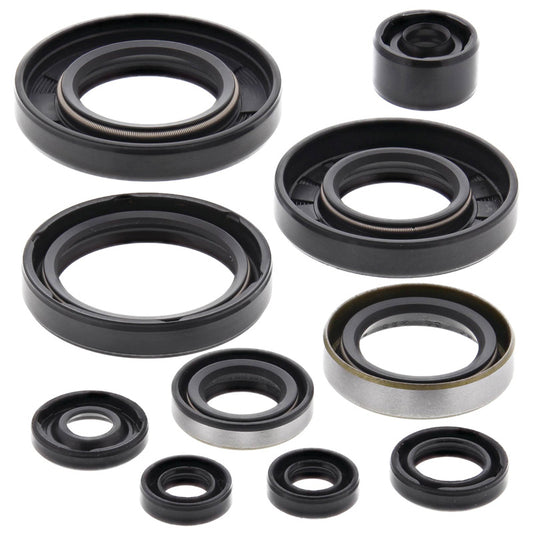VERTEX OIL SEAL KIT 822257
