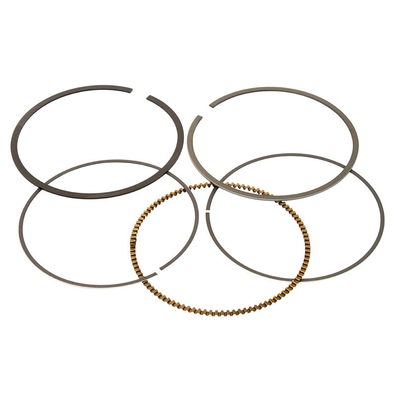 VERTEX REPLACEMENT RING(S) (10095MM) GRIZ/RAP 660 +1.00 590310100001