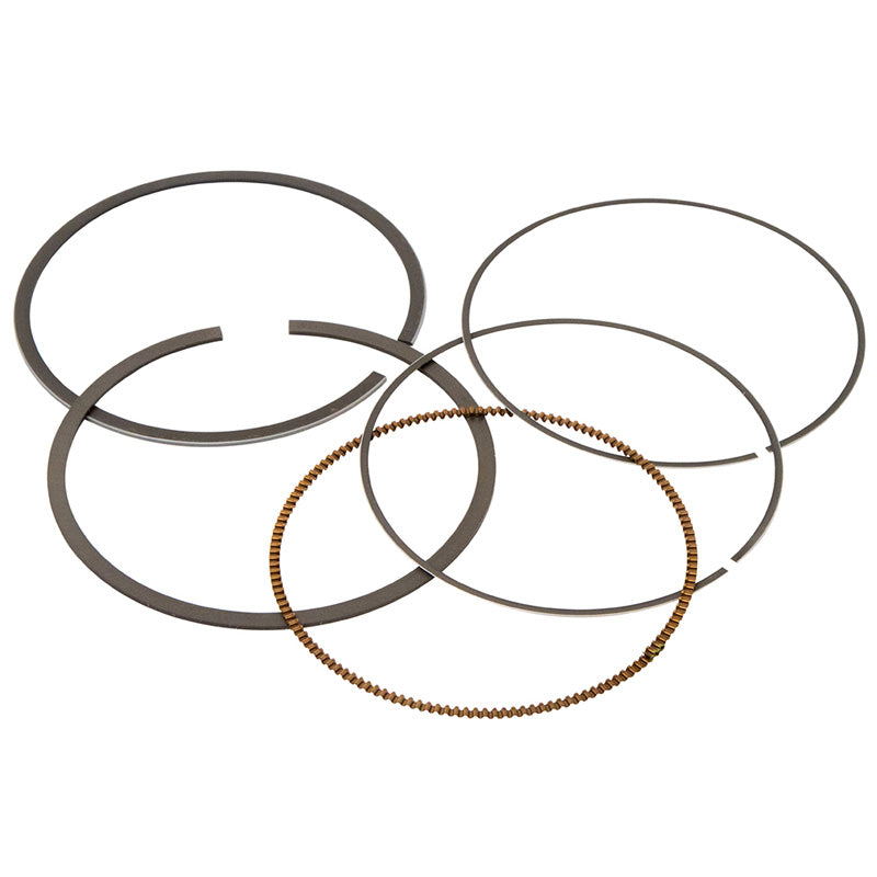 VERTEX REPLACEMENT RING(S) (8795MM) 590388000001