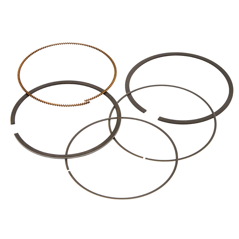 VERTEX REPLACEMENT RING(S) (8895MM) 590389000001
