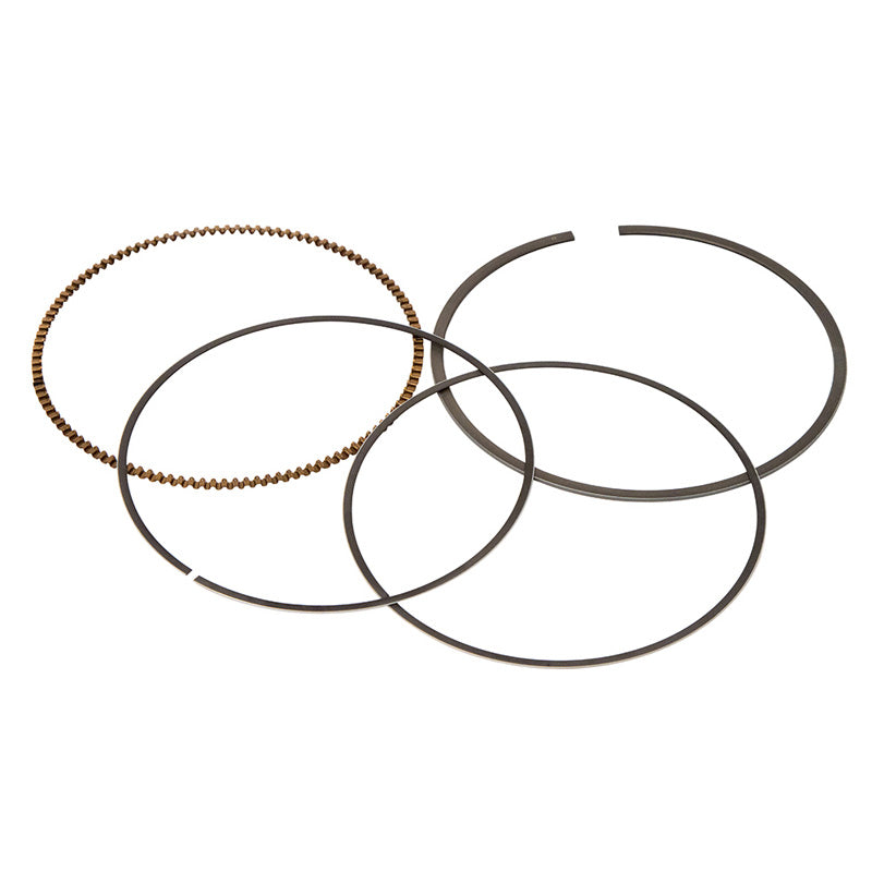 VERTEX REPLACEMENT RING(S) (9545MM) 590295500001