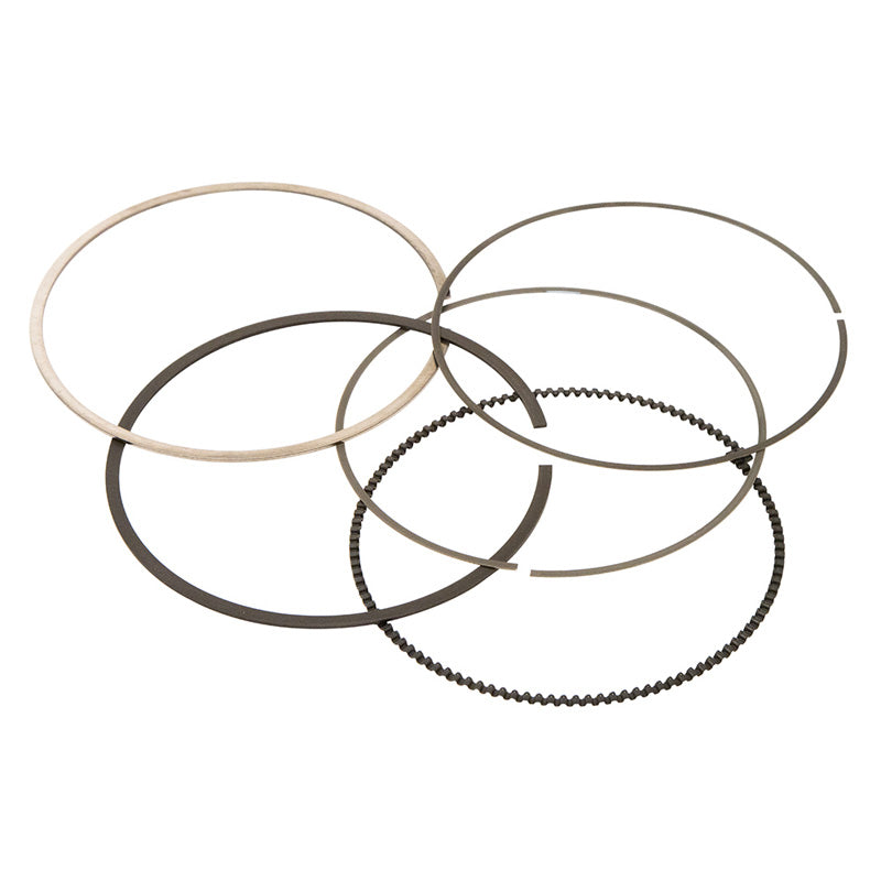 VERTEX REPLACEMENT RING(S) (9595MM) 590396000001