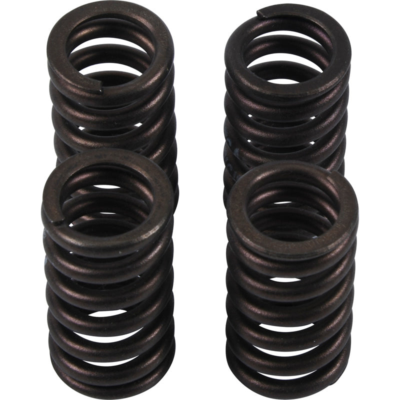 HOT CAMS VALVE SPRING KIT SUZUKI RMZ250 07-13 VSK2002