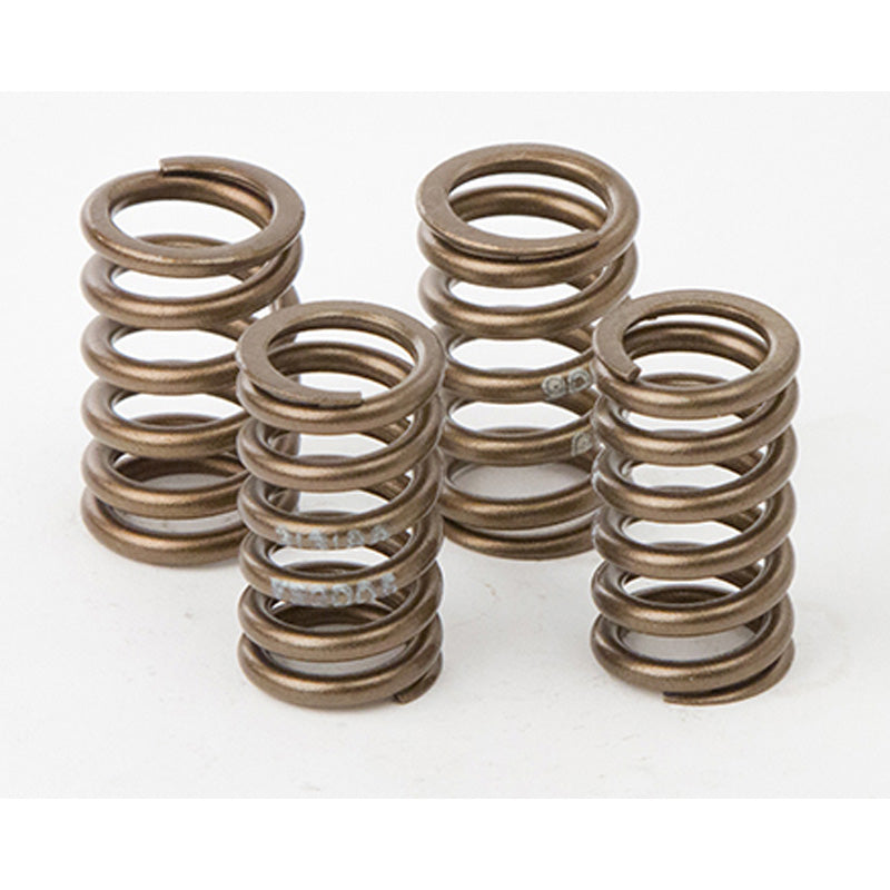 HOT CAMS VALVE SPRING KIT KAWASAKI KX250F 04-14 VSK2006