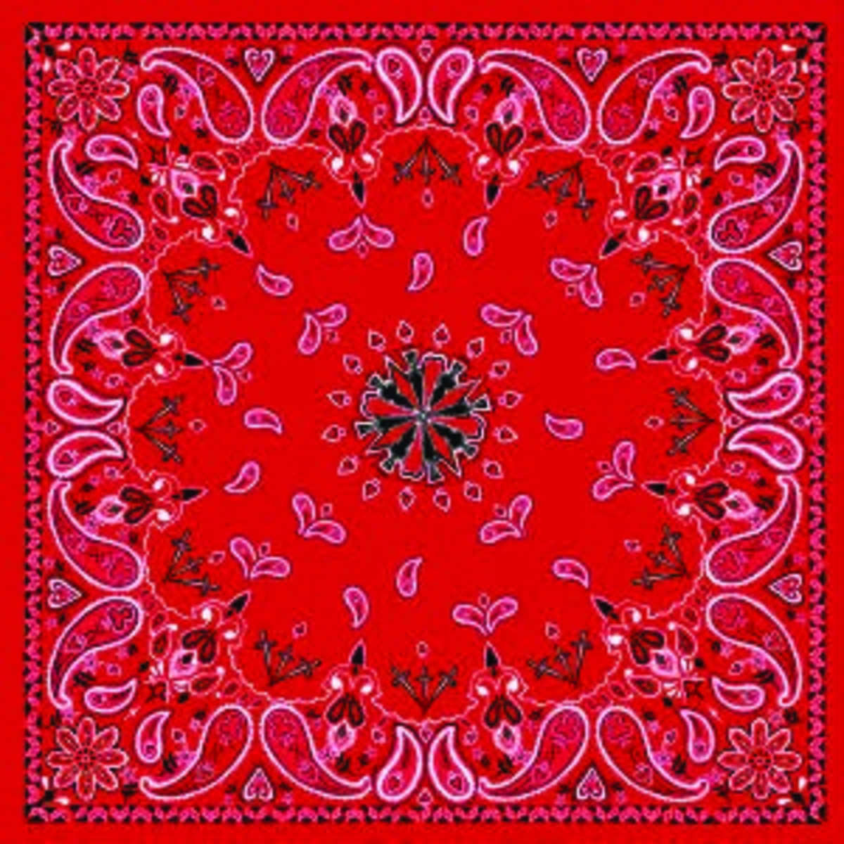 ZAN HEADGEAR BANDANNA RED PAISLEY B003