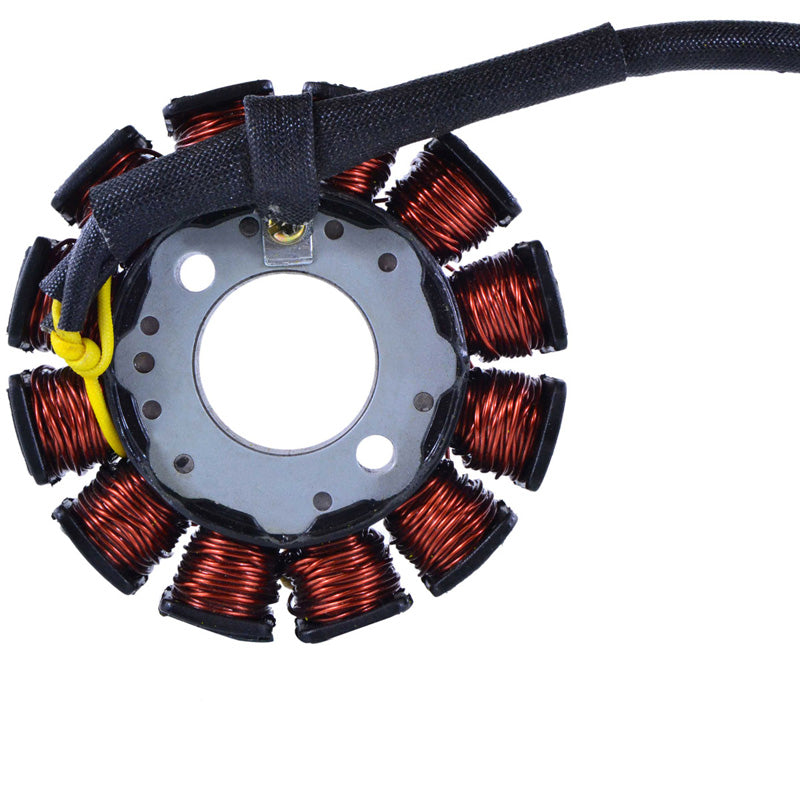 RMS STATOR POL UTV RZR 170 15-21 RMS010-104230