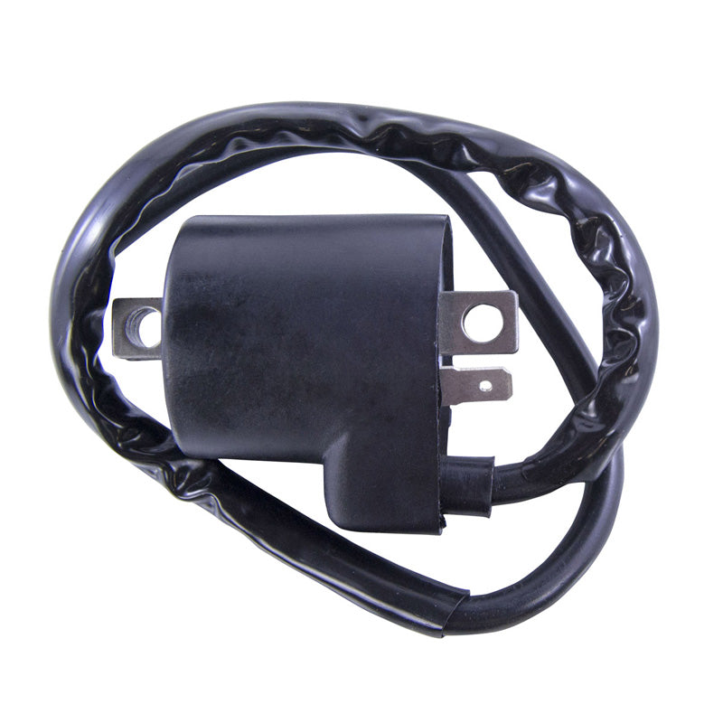 RMS EXT IGN COIL POL|HON|KAW|YAM|SUZ 110-800 76-15 RM06035
