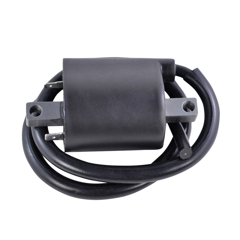 RMS EXT IGN COIL SUZ BOULEVARD|YAM V-STAR 86-19 RM06168