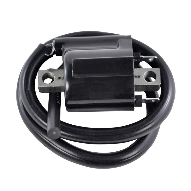 RMS EXT IGN COIL YAM ROADLINER 1900|V-STAR 950 06-17 RM06179