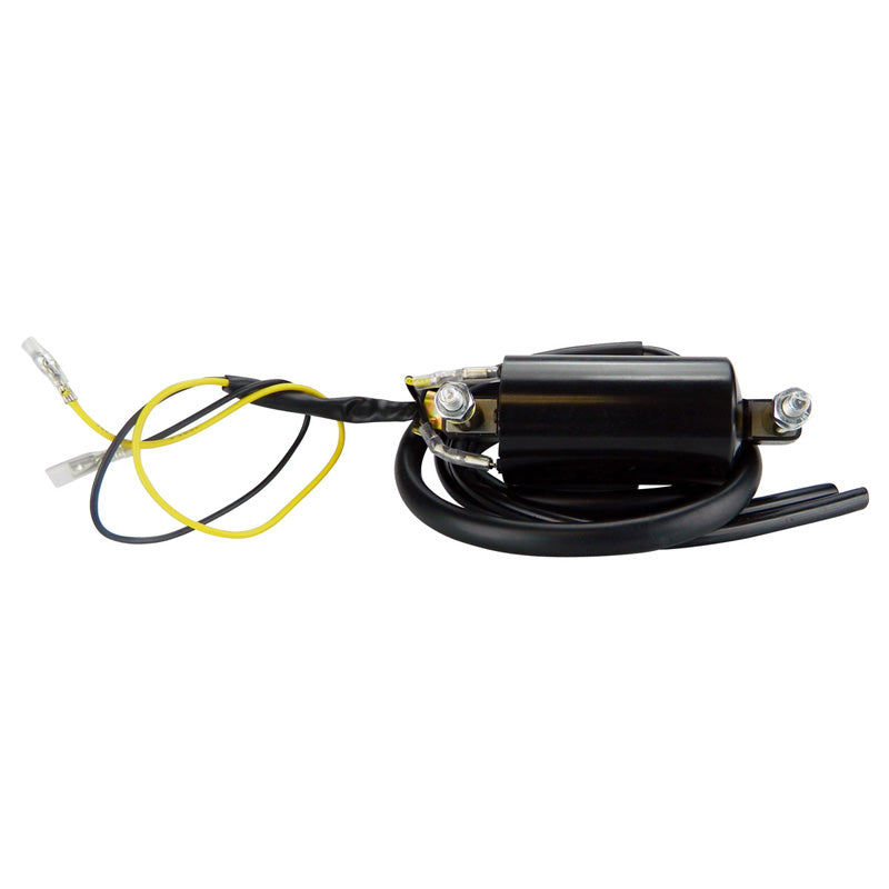 RMS EXT IGN COIL 6V HON KAW SUZ YAM RMS060-104477
