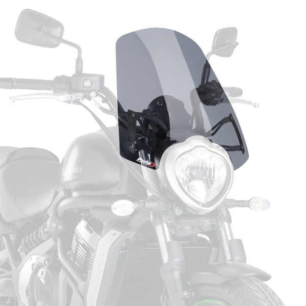 PUIG WINDSHIELD NAKED NG KAWA LSMK KAWA PUIG 8164H