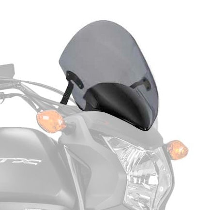 PUIG WINDSHIELD NAKED NG LSMK PUIG 7009H