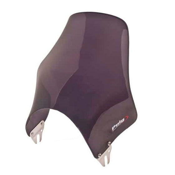 PUIG WINDSHIELD NAKED DSMK KAWA PUIG 0869F