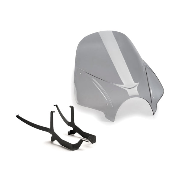 PUIG WINDSHIELD NG TOURING BMW SMK PUIG 20527H