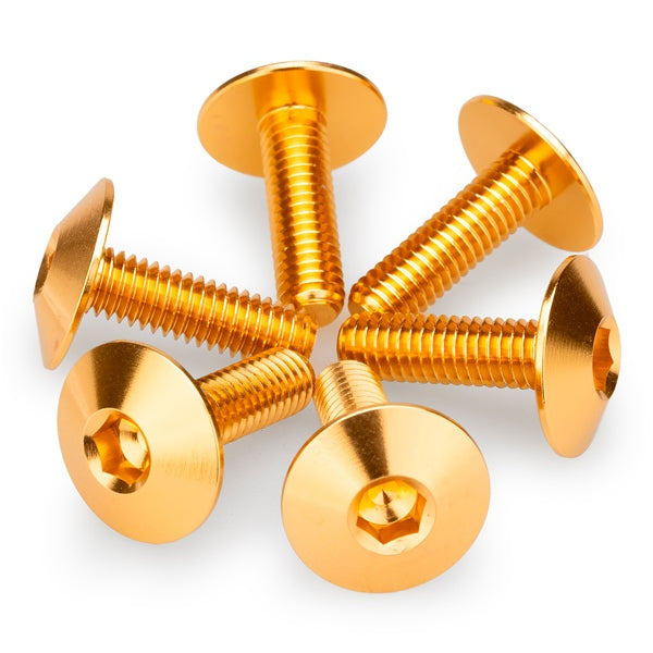 PUIG SCREW KIT SCREENS M6X20 GLD UNIV PUIG 21765O
