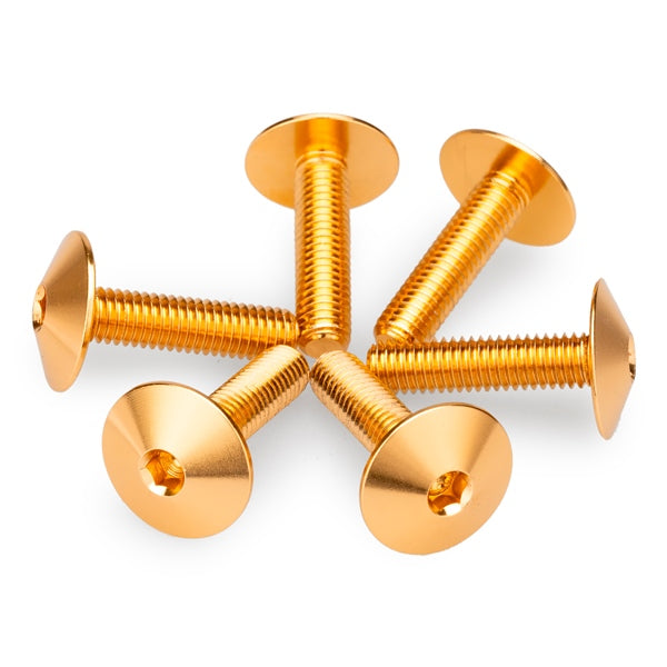 PUIG SCREW KIT SCREENS M5X20 GLD UNIV PUIG 21766O