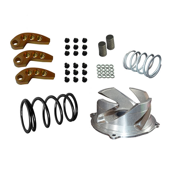 STRAIGHTLINE PERFORMANCE CLUTCH KIT W/ADJ WEIGHT POL 123-144