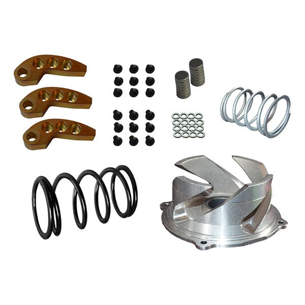 STRAIGHTLINE PERFORMANCE CLUTCH KIT W/ ADJ WEIGHT POL 123-145