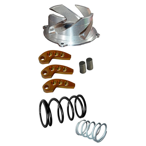 STRAIGHTLINE PERFORMANCE CLUTCH KIT TRAIL POL STRAIGHTLINE 123-163