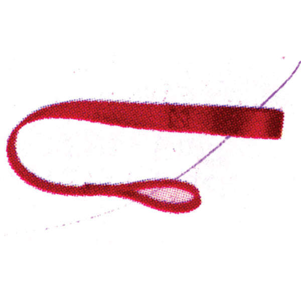 ERICKSON 18 TIE DOWN ASSIST STRAPS 2PK 18" RED 06304