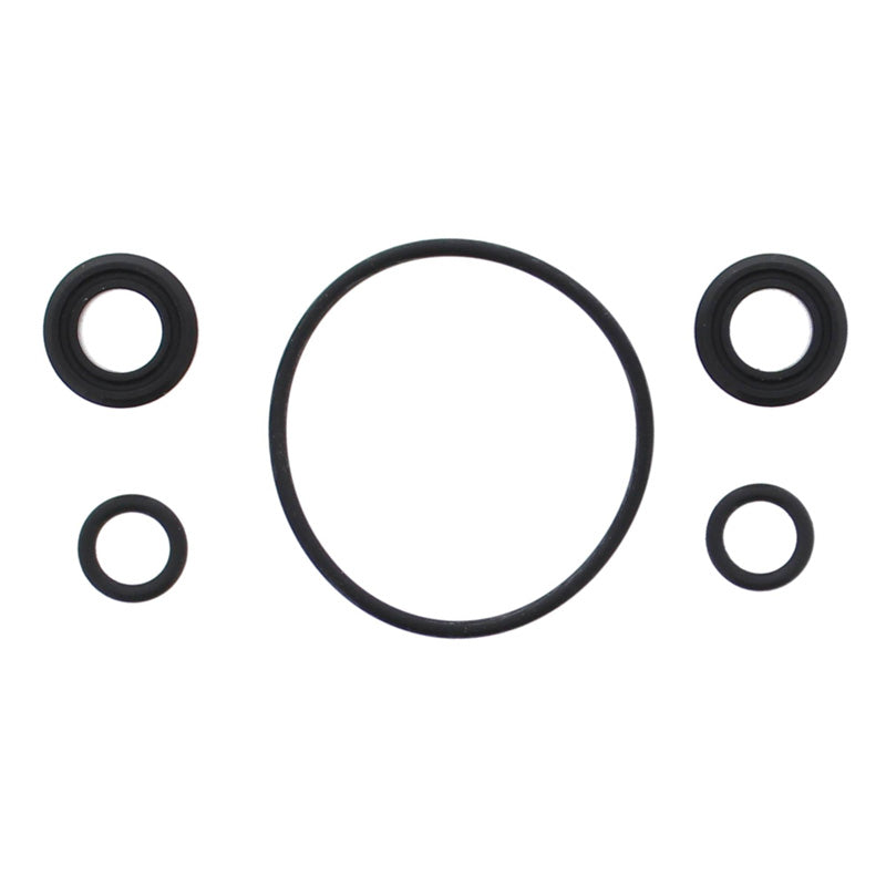 VERTEX INJECTOR O-RING 725003